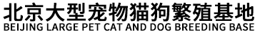 北京宜豪宠物文化有限公司